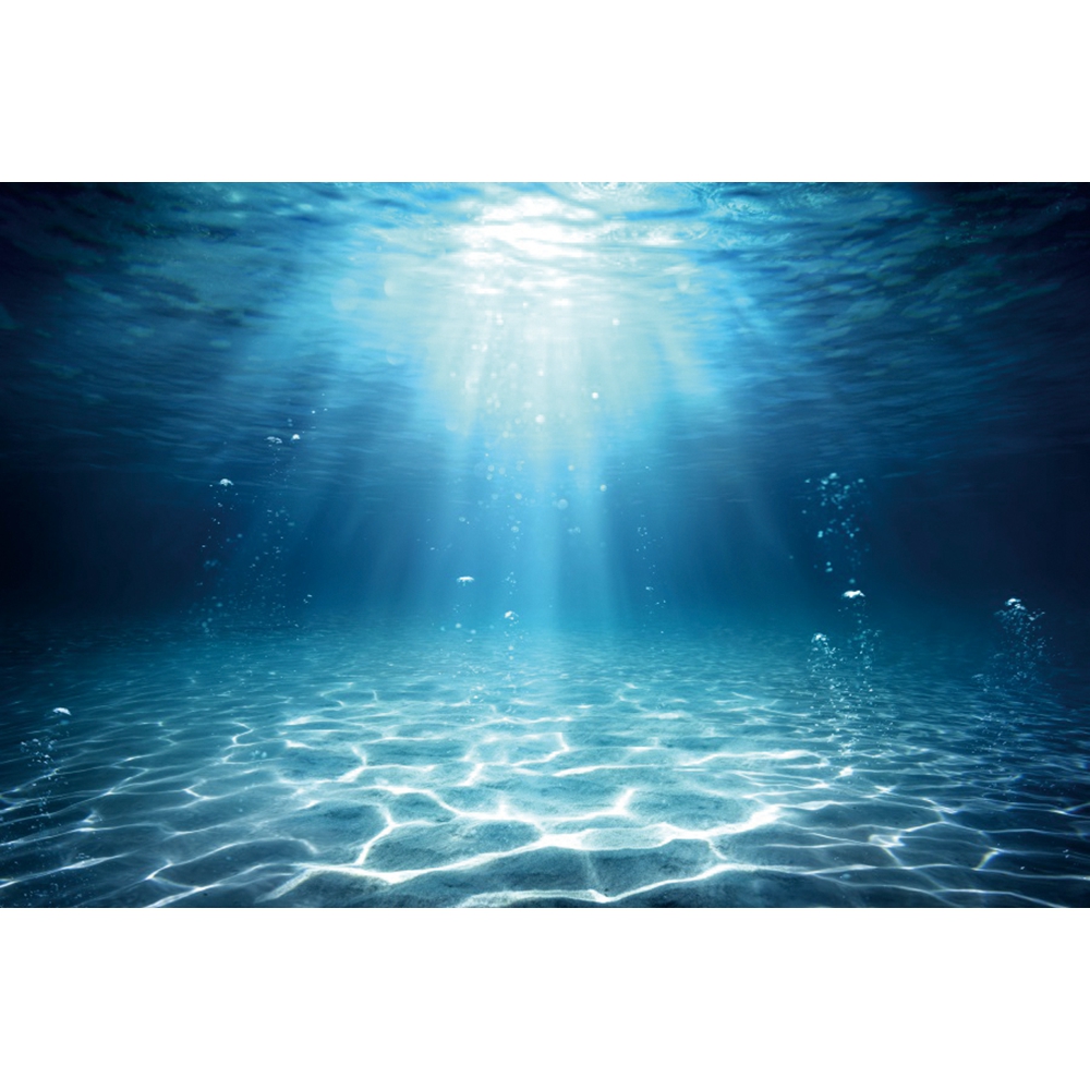 Underwater World Seabed Photog - Aquarium Fish World ulasan dan harga