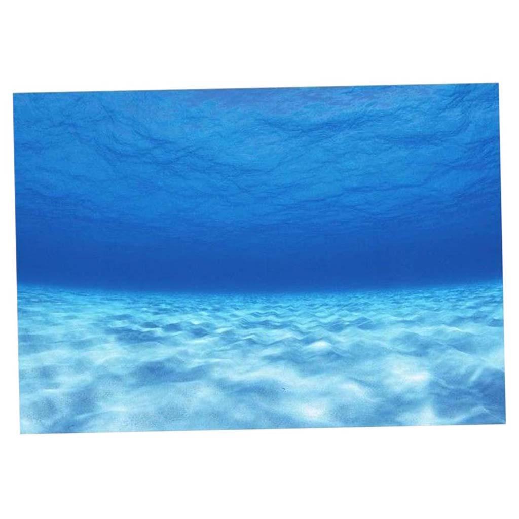 Side Decorative Aquarium Backg - Aquarium Fish World ulasan dan harga