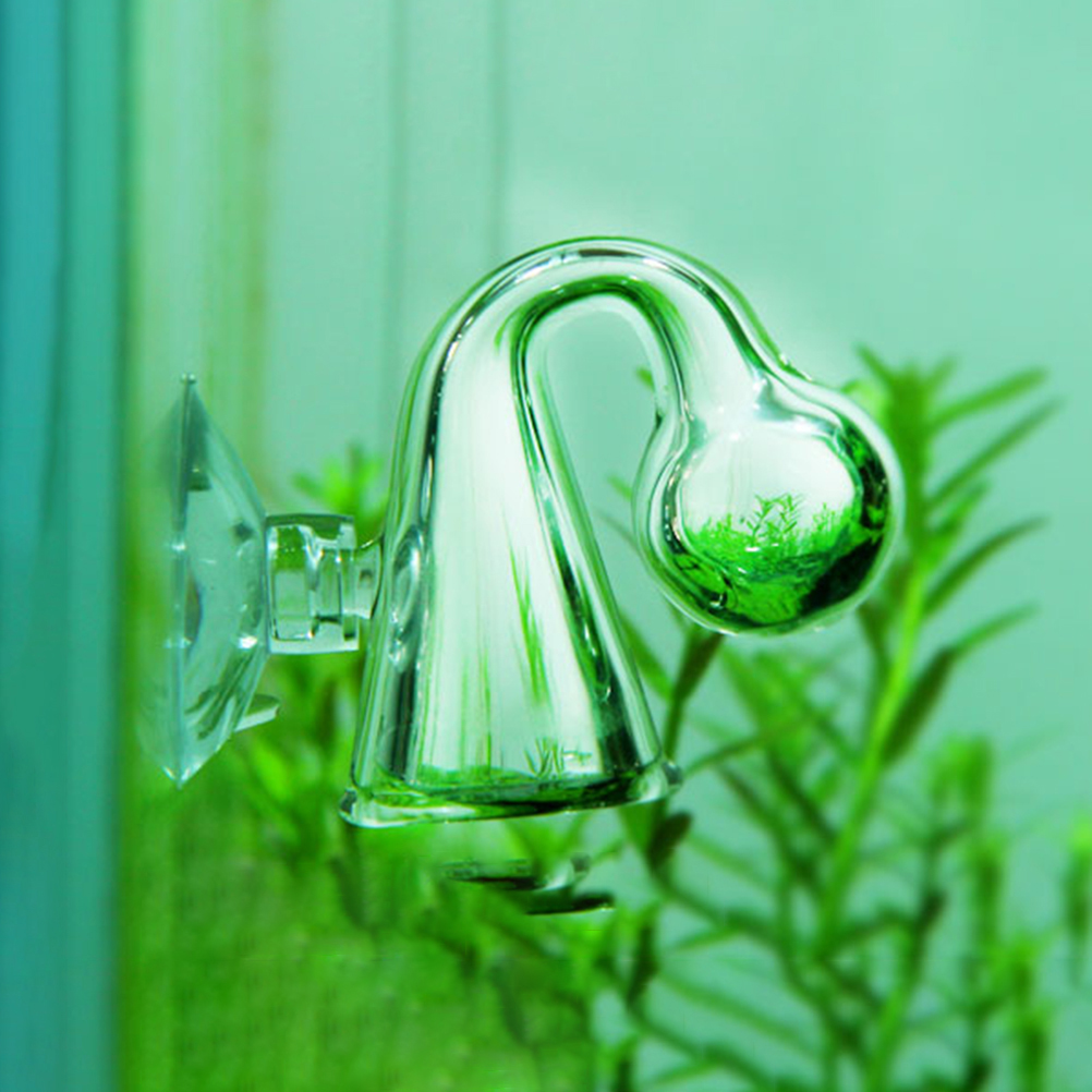 Fish Tank CO2 Diffuse Glass Dr - Aquarium Fish Photography ulasan dan harga