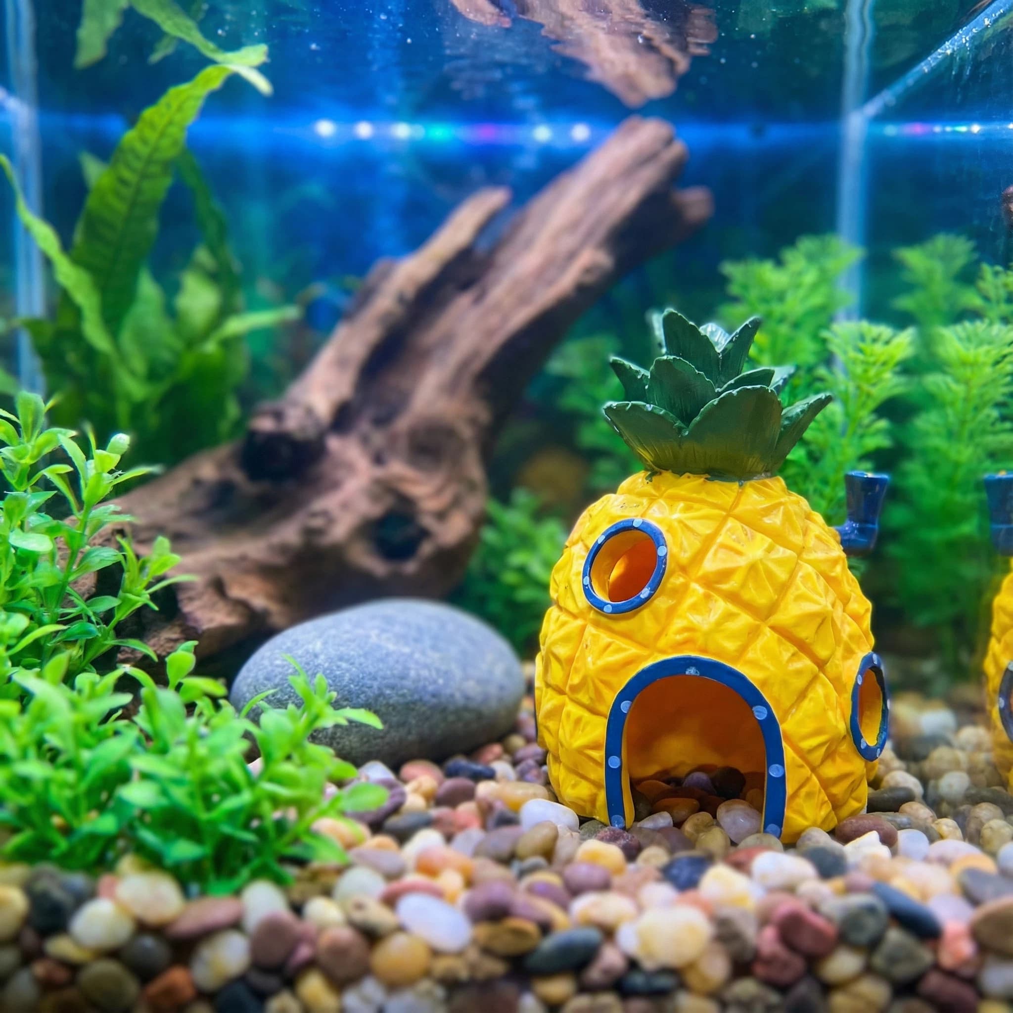 Pineapple House Aquarium Decor - Aquarium Fish Games ulasan dan harga