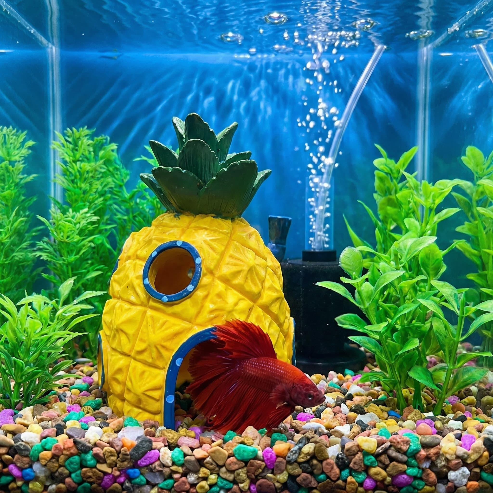 Pineapple House Aquarium Decor - Aquarium Fish Games ulasan dan harga