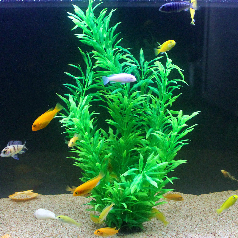 50CM Artificial Fish Tank Rare - Aquarium Fish Buy ulasan dan harga