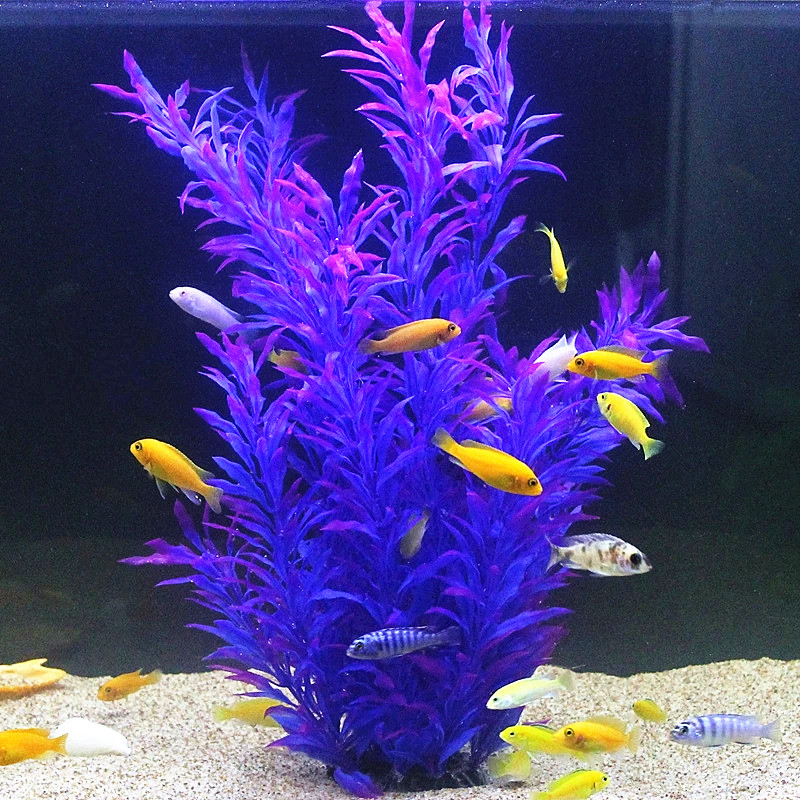 50CM Artificial Fish Tank Rare - Aquarium Fish Buy ulasan dan harga
