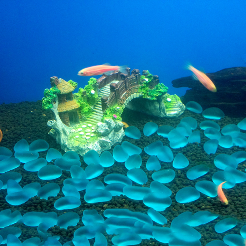Aquarium Accessories Arbor Tre - Aquarium Fish Games ulasan dan harga