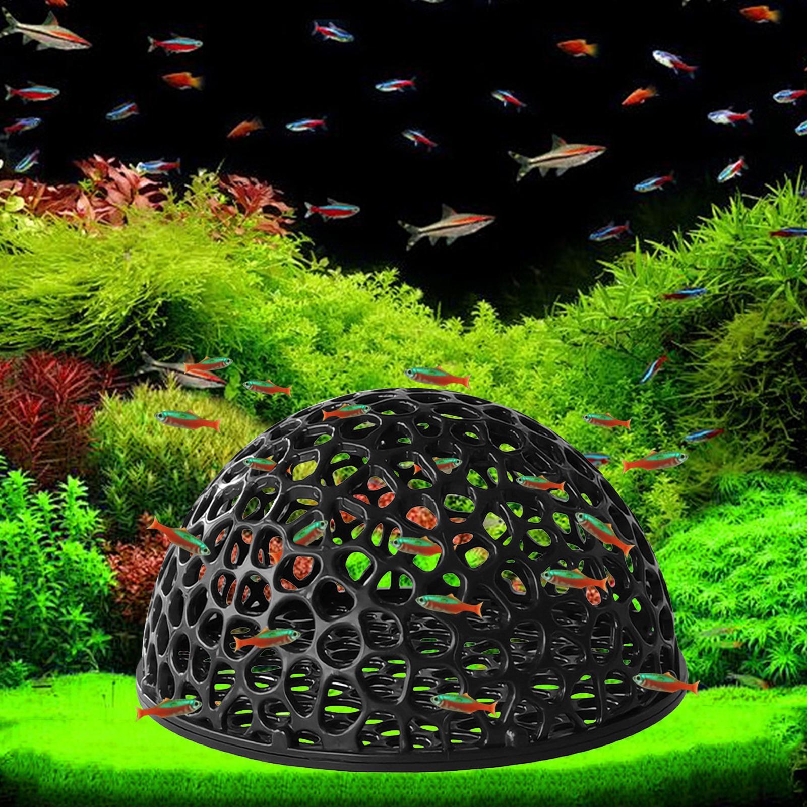 Aquarium shrimp house Cave Min - Aquarium Fish Games ulasan dan harga