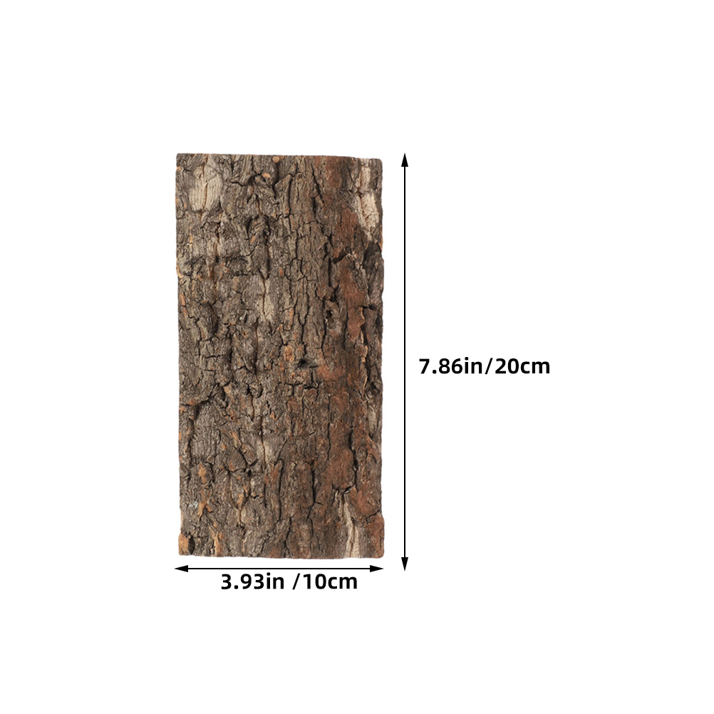 3pcs Cork Bark For Reptiles Te - Aquarium Fish Background ulasan dan harga