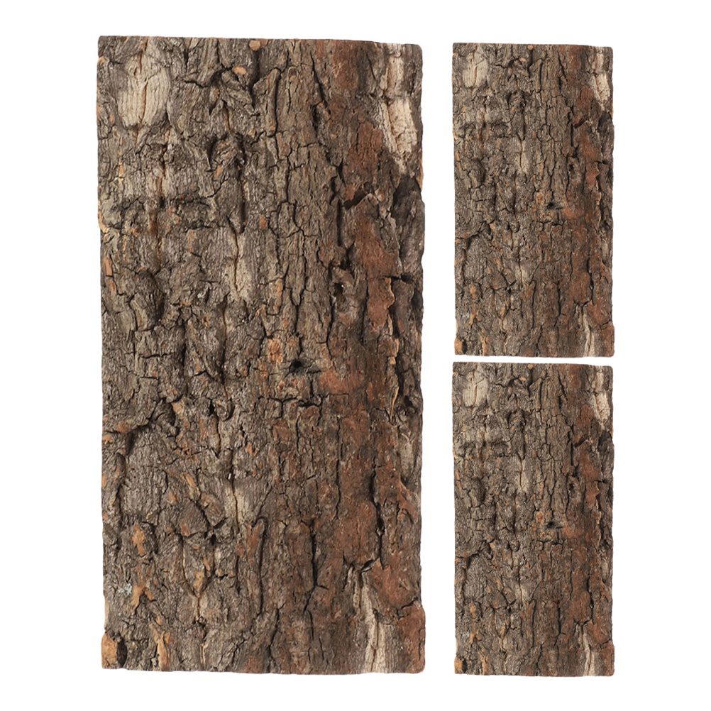 3pcs Cork Bark For Reptiles Te - Aquarium Fish Background ulasan dan harga