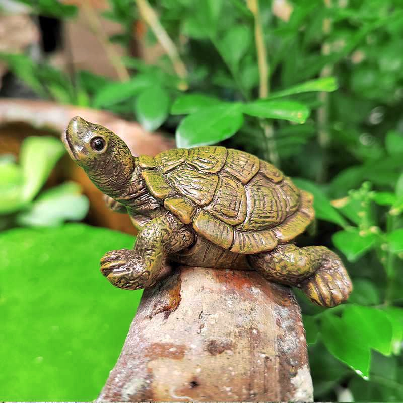 Charming Turtle Statue Mini Tu - Aquarium Fish Games ulasan dan harga
