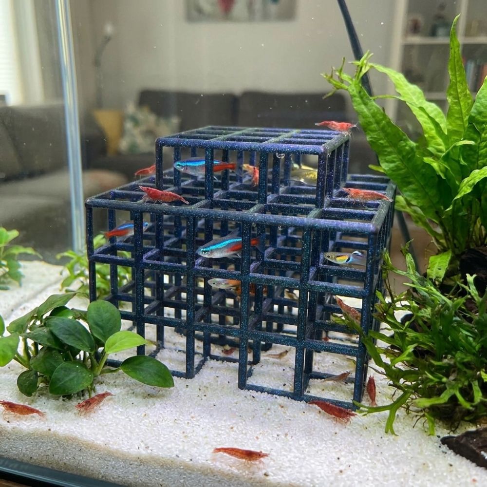 3D Printed Fish Shrimp Hideout - Aquarium Fish Games ulasan dan harga