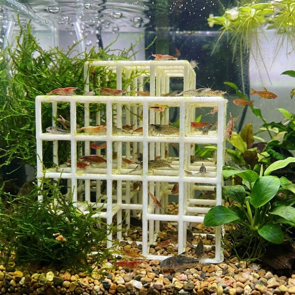 3D Printed Fish Shrimp Hideout - Aquarium Fish Games ulasan dan harga