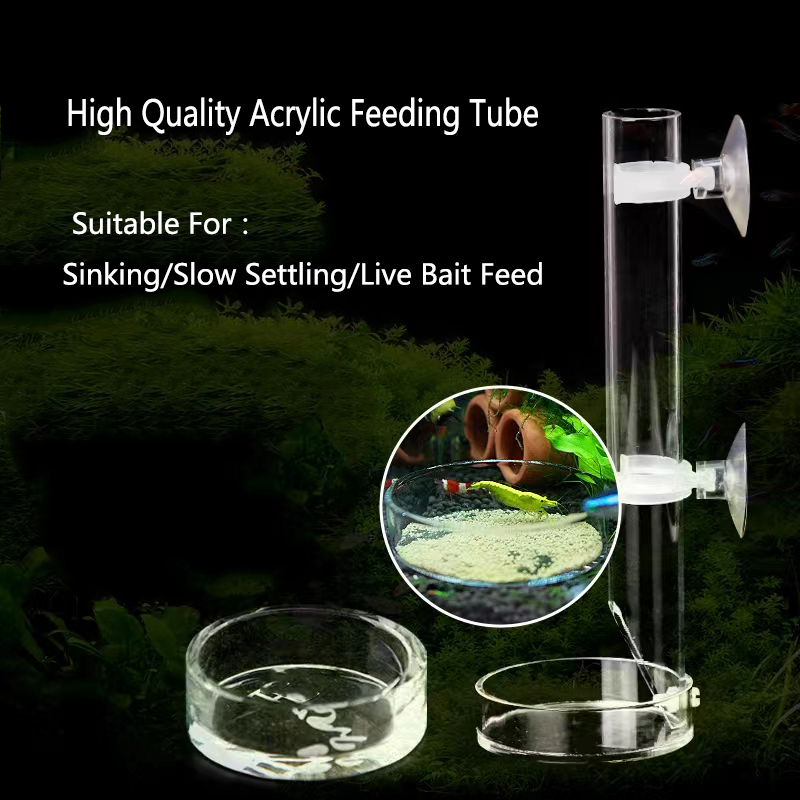 1Pcs Acrylic Aquarium Feeder T - Aquarium Fish Food ulasan dan harga
