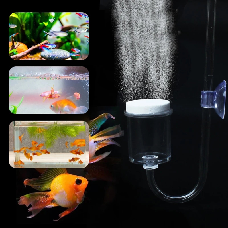4pcs Set DIY CO2 Diffuser For  - Aquarium Fish Photography ulasan dan harga