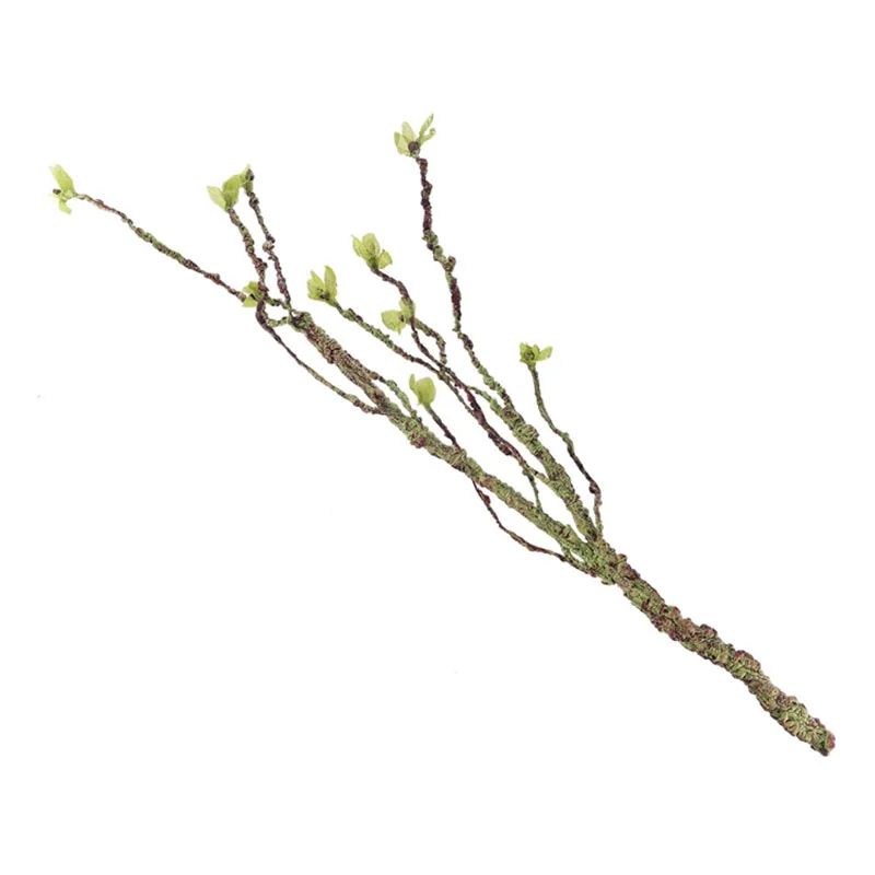 Vines Decor Climbing Branches  - Aquarium Fish Buy ulasan dan harga