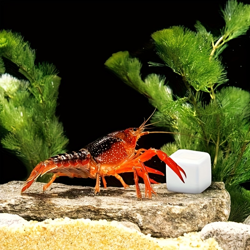6 Pcs Fish Tank Calcium Block  - Aquarium Fish Games ulasan dan harga