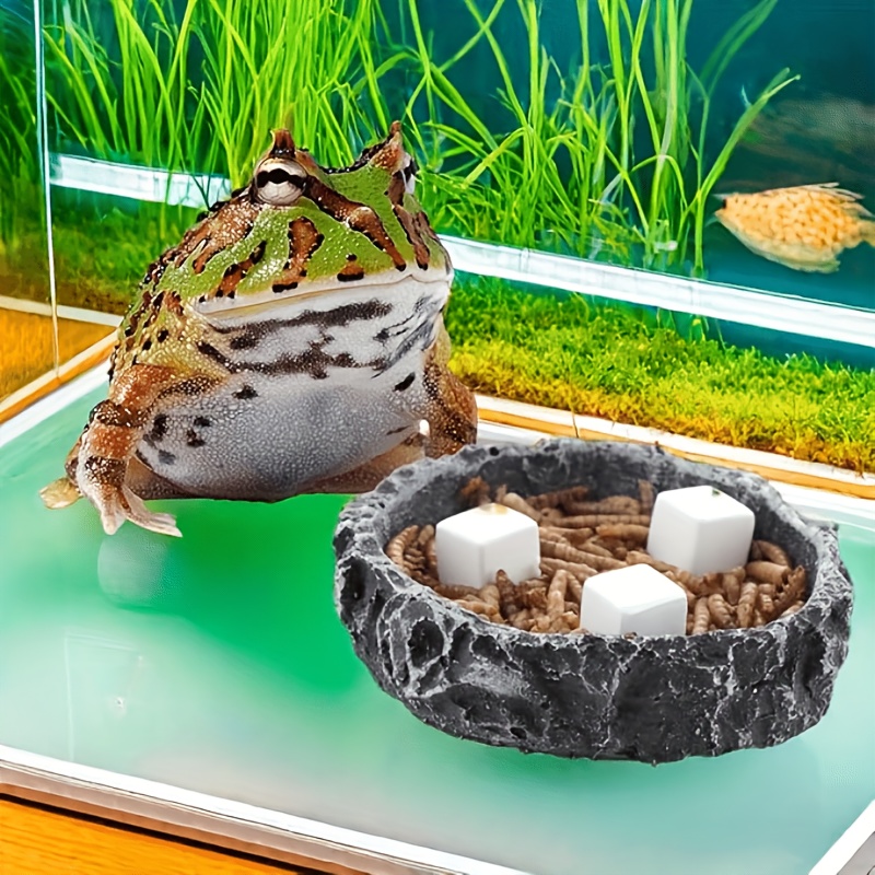 6 Pcs Fish Tank Calcium Block  - Aquarium Fish Games ulasan dan harga