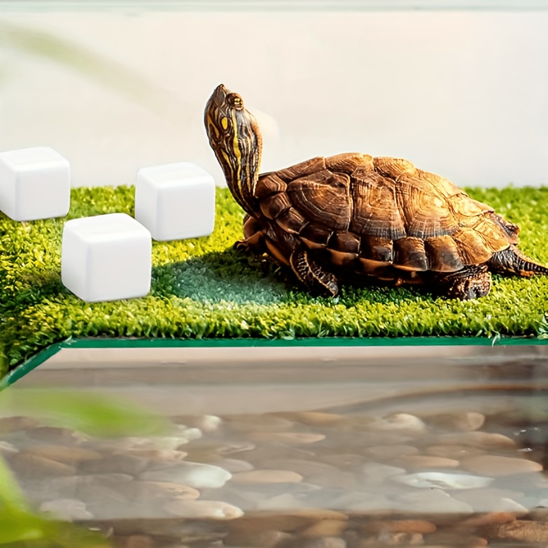 6 Pcs Fish Tank Calcium Block  - Aquarium Fish Games ulasan dan harga